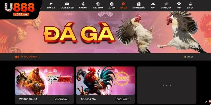 Đăng Ký U888 - Hướng Dẫn Từng Bước Dành Cho Người Chơi Mới 3 Hướng dẫn đăng ký U888 cụ thể cho tân thủ